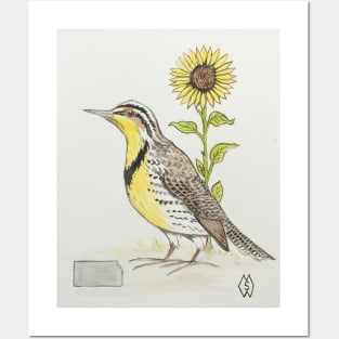 Kansas state bird & flower, the western meadowlark & sunflower Posters and Art